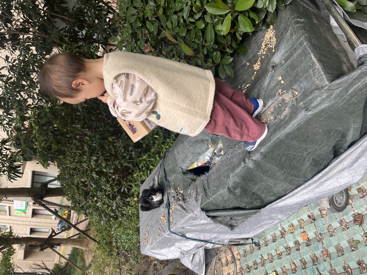 📦🐱 快递路上的小惊喜