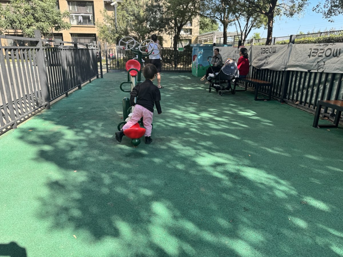 🌳☀️ 楼下小广场的欢乐时光