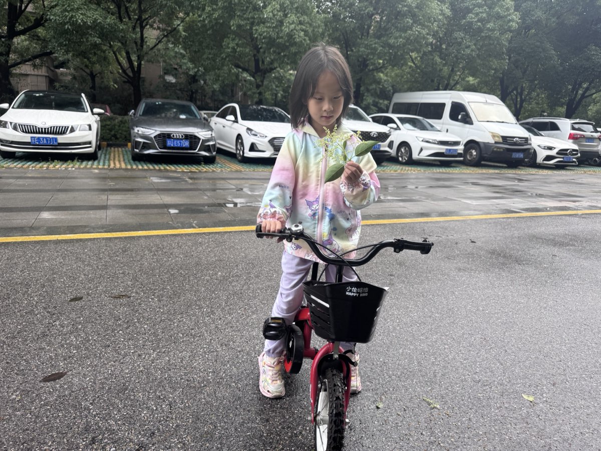 🚴 学会骑自行车的日子